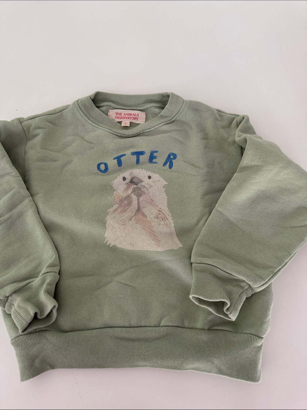 The Animals Observatory Kids' Otter Sweatshirt - Sage Green